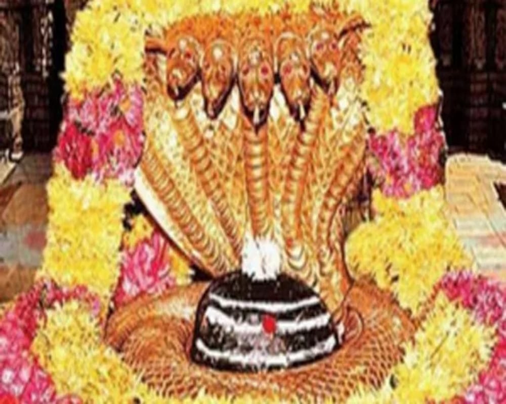 know importance of  lord shiva puja at 12 jyotirlinga