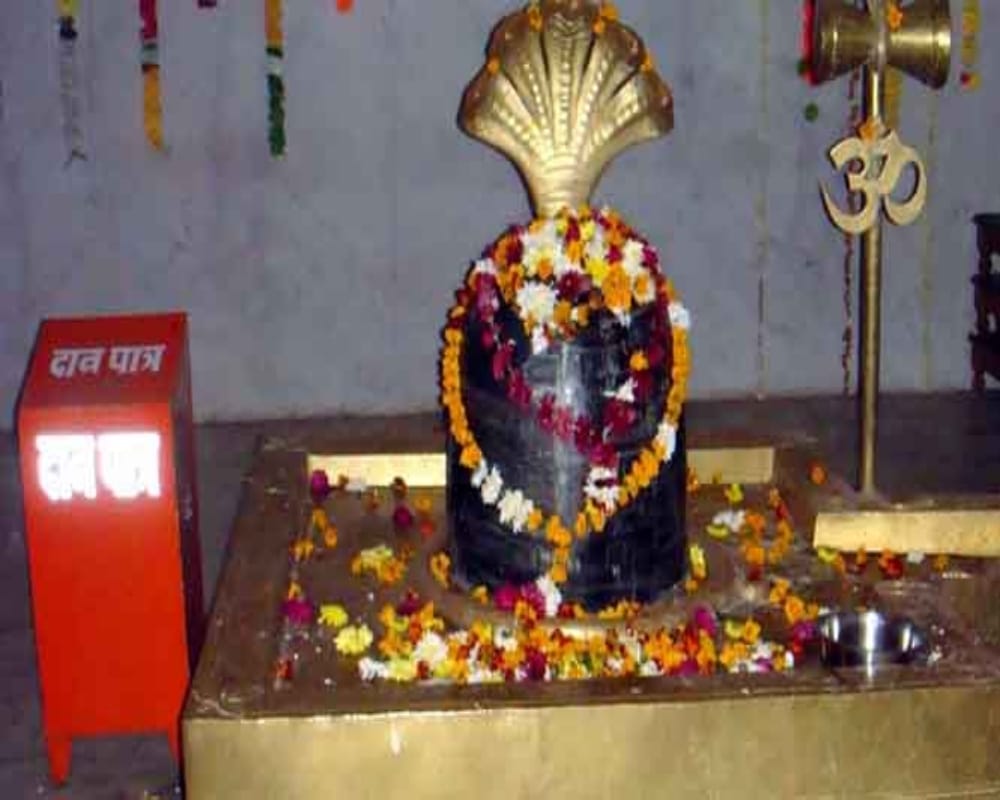 nag panchami 2018 special puja for kaal sarp dosh relief