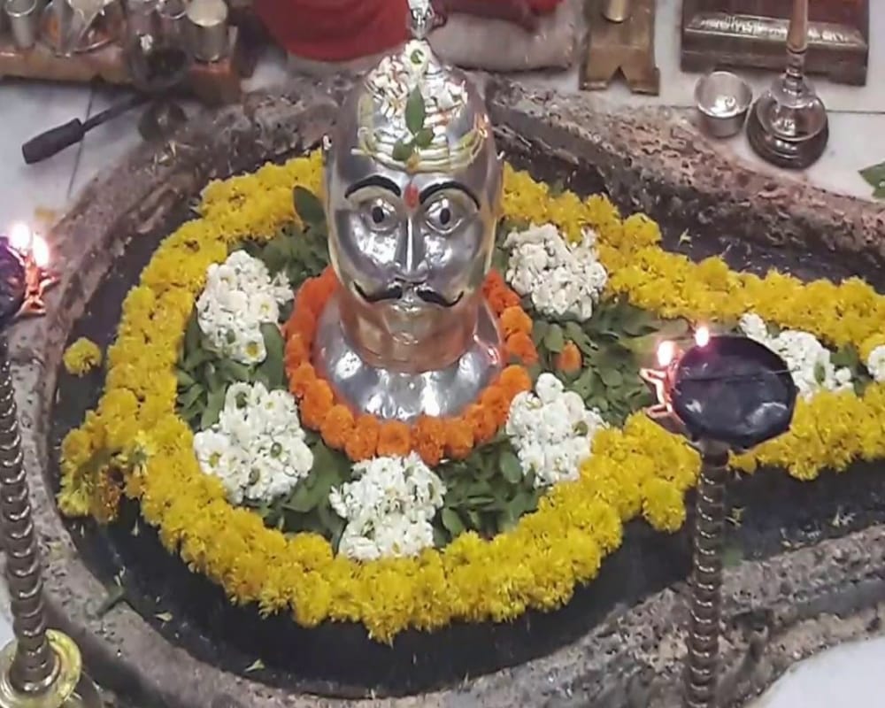 Mahashivratri 2021 Reason behind why Ketaki flower and tulsi is not offered to Lord Shiva