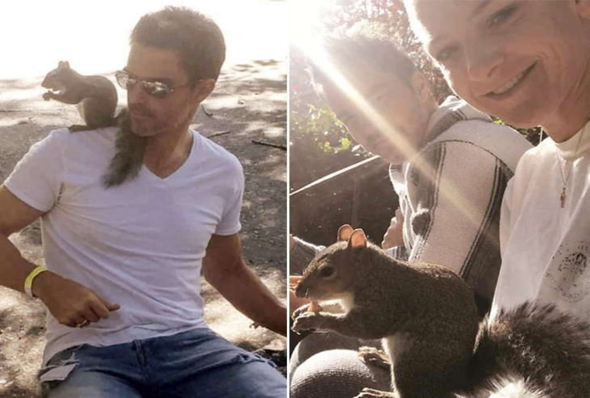 Squirrel going to meet with A family every day for Eight years