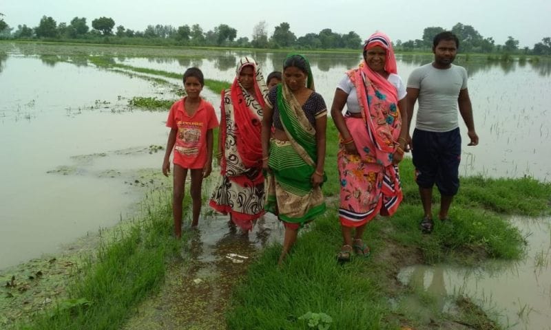 रजबहा कटने से गांव पिलखतरा में घुसा पानी: