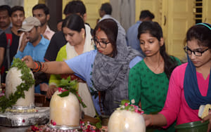 'Training Center' running in Bihar for solvers