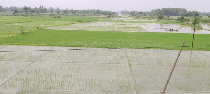 गंगा उफान पर, मीडियम फ्लड के हालात