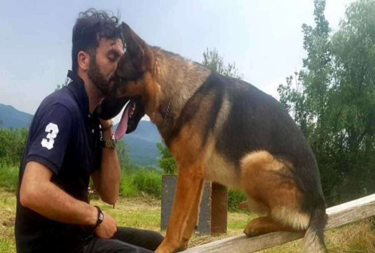 whole country mourns on a dog death  