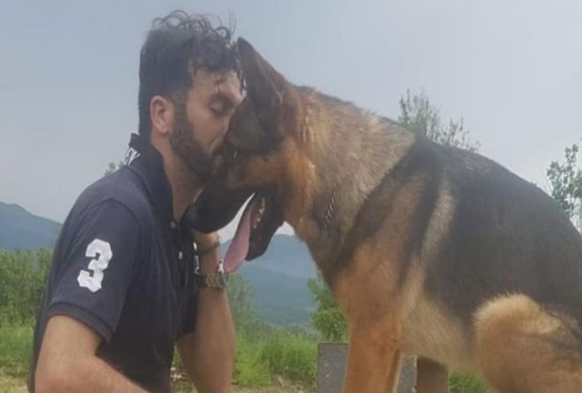 whole country mourns on a dog death  