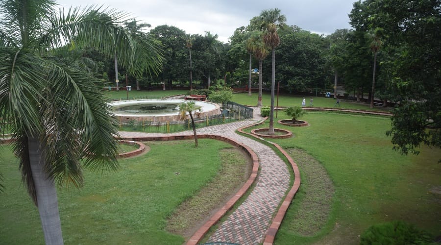 Learn more about this city of Uttar Pradesh, and this tree becomes Sanjivani for 20 lakhs people