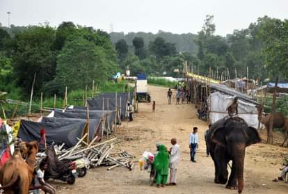 Yamuna river water level reached 206.05 meters in delhi