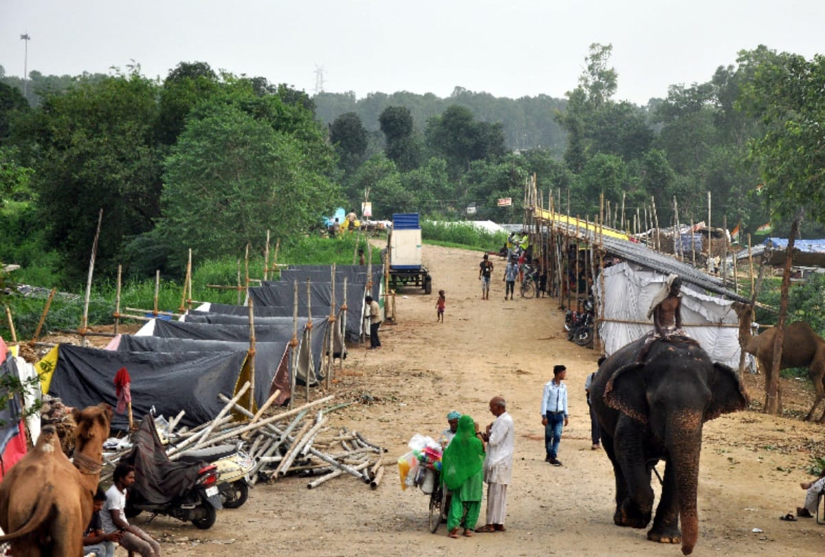 15 people were about to drown in yamuna in burari but administration rescue them