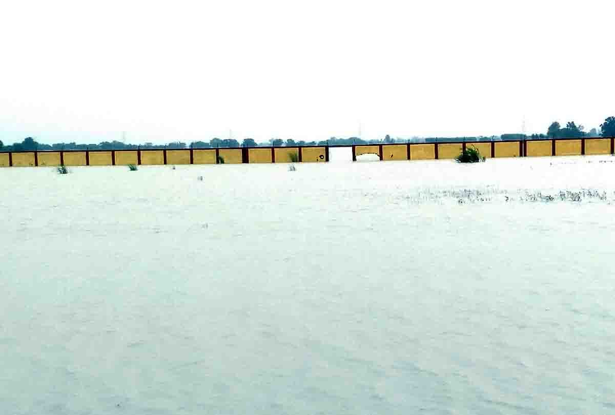 Villagers did stone pelting On refusal to cut off runway