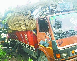 हाईवे पर डीसीएम के पर गिरा पेड़, जाम लगा