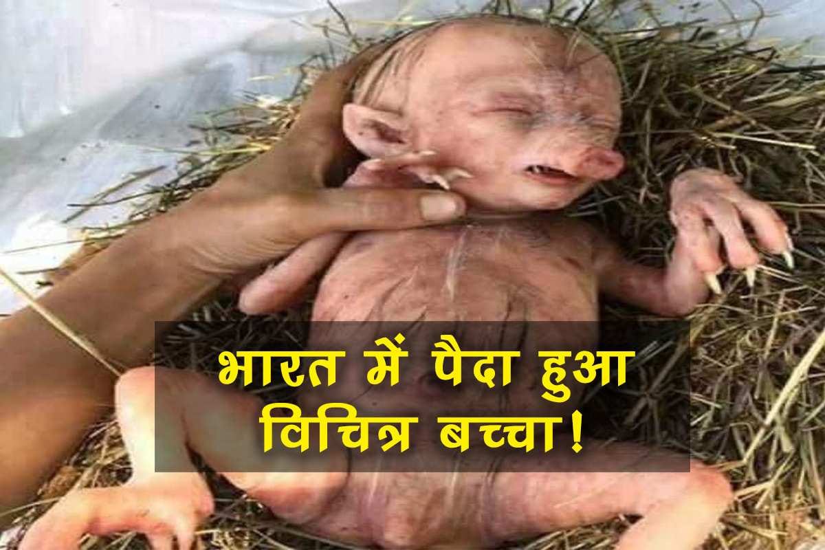 Pig deliver human like baby in India is fake story