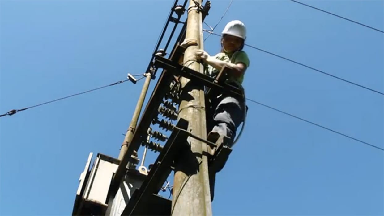 Lineman fell from pole while repairing power fault died on spot