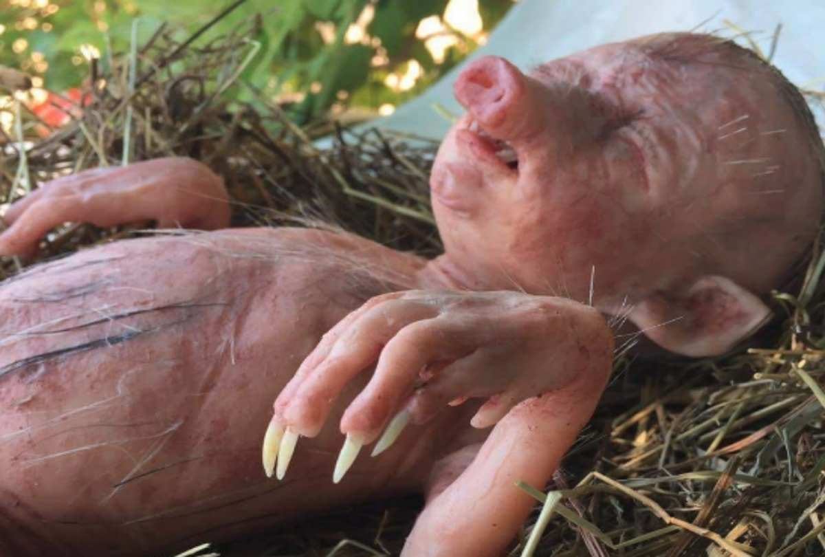 Pig deliver human like baby in India is fake story