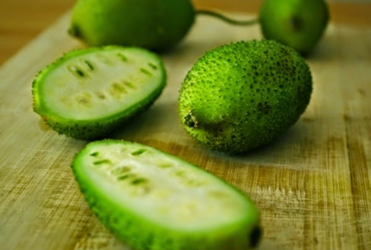 surprising health benefits of spiny gourd