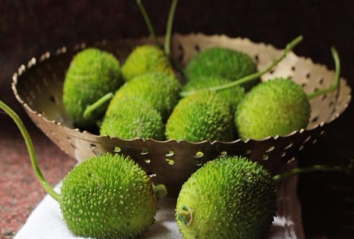 surprising health benefits of spiny gourd