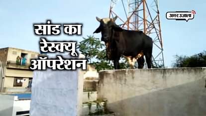 BULL STUCK ON ROOFTOP, RESCUED BY LOCAL WITH HELP OF CRANE IN SIKAR RAJASTHAN