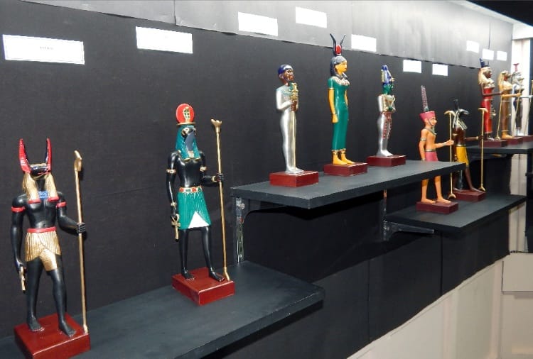 Organizing exhibition at Sopins Senior Secondary School in chandigarh 