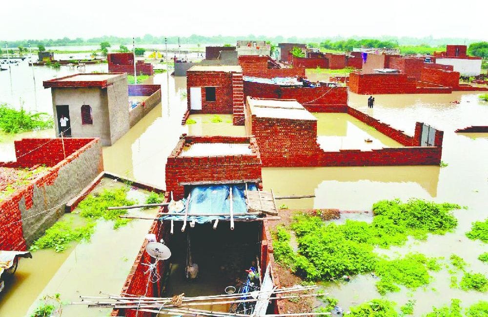 Yamuna water level near dangerous mark in mathura