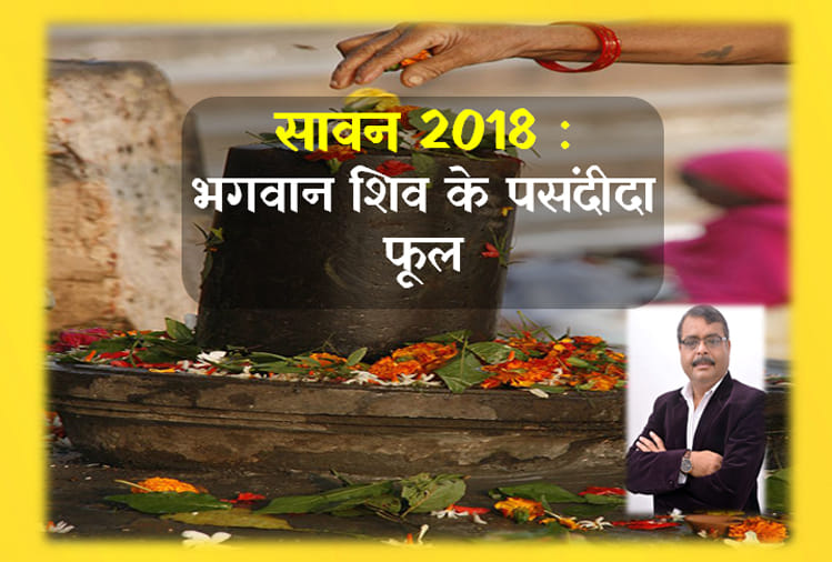 sawan 2018 these are favourite flowers of lord shiva
