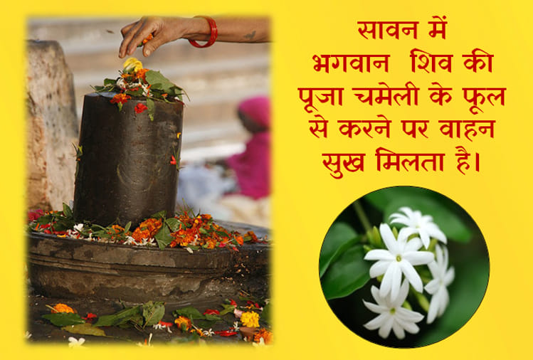 sawan 2018 these are favourite flowers of lord shiva