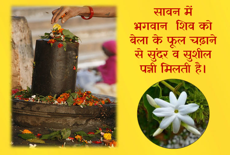 sawan 2018 these are favourite flowers of lord shiva