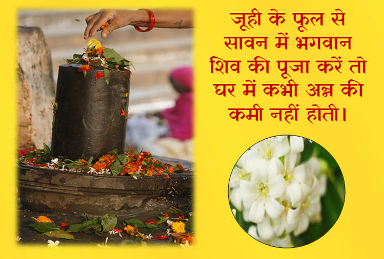 sawan 2018 these are favourite flowers of lord shiva