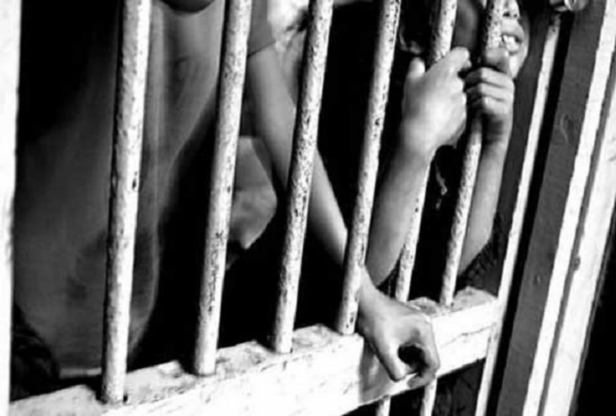 GST scam accused in  five days remand in solan himachal