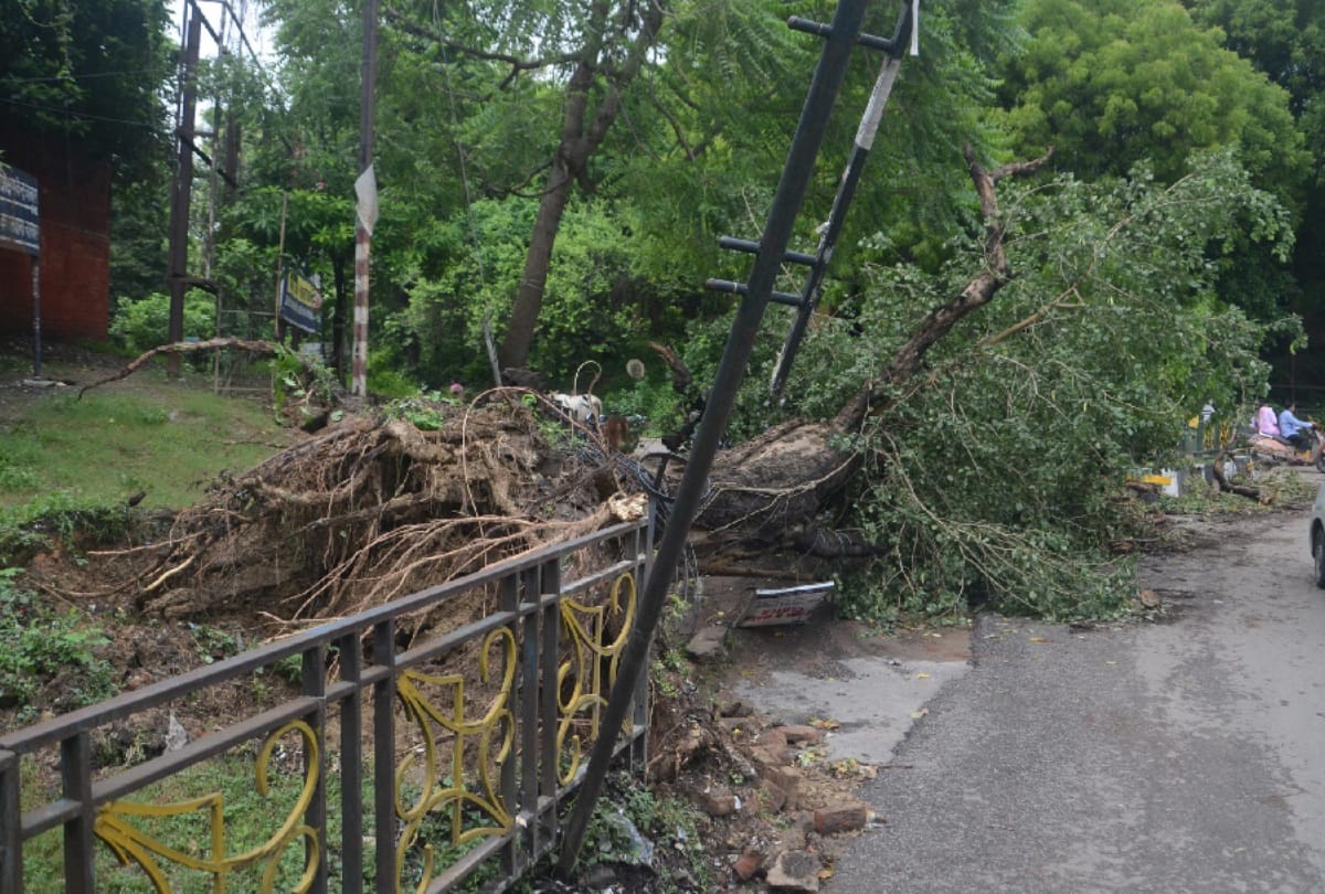 bad effect of rain in lucknow