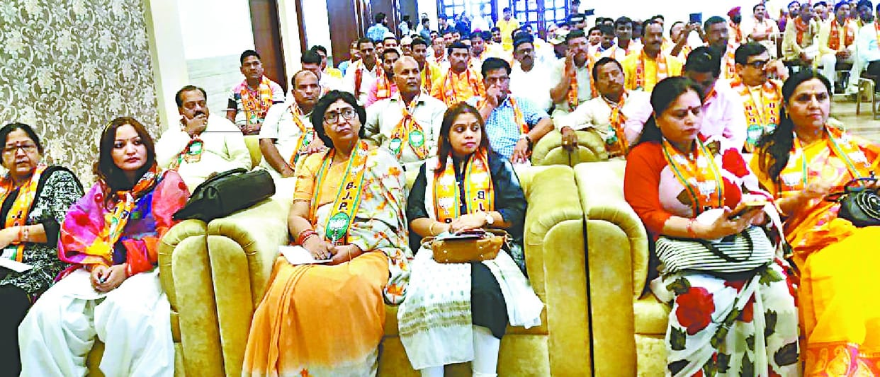 Singhal gets entry in District Working Committee 