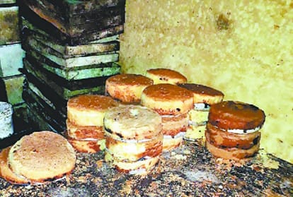 Cakes and pastries were being made from rotten eggs in Chandigarh