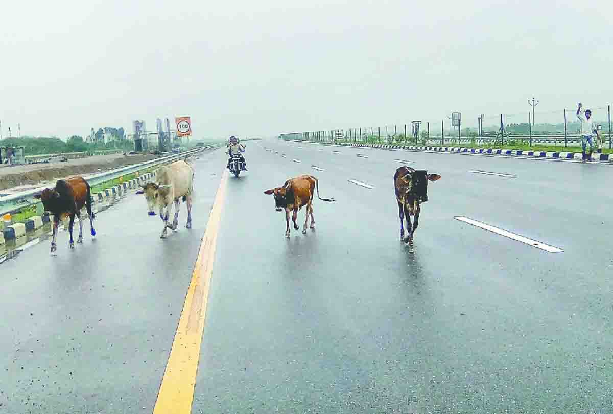 due to rain cracks in Lucknow Agra Express Way