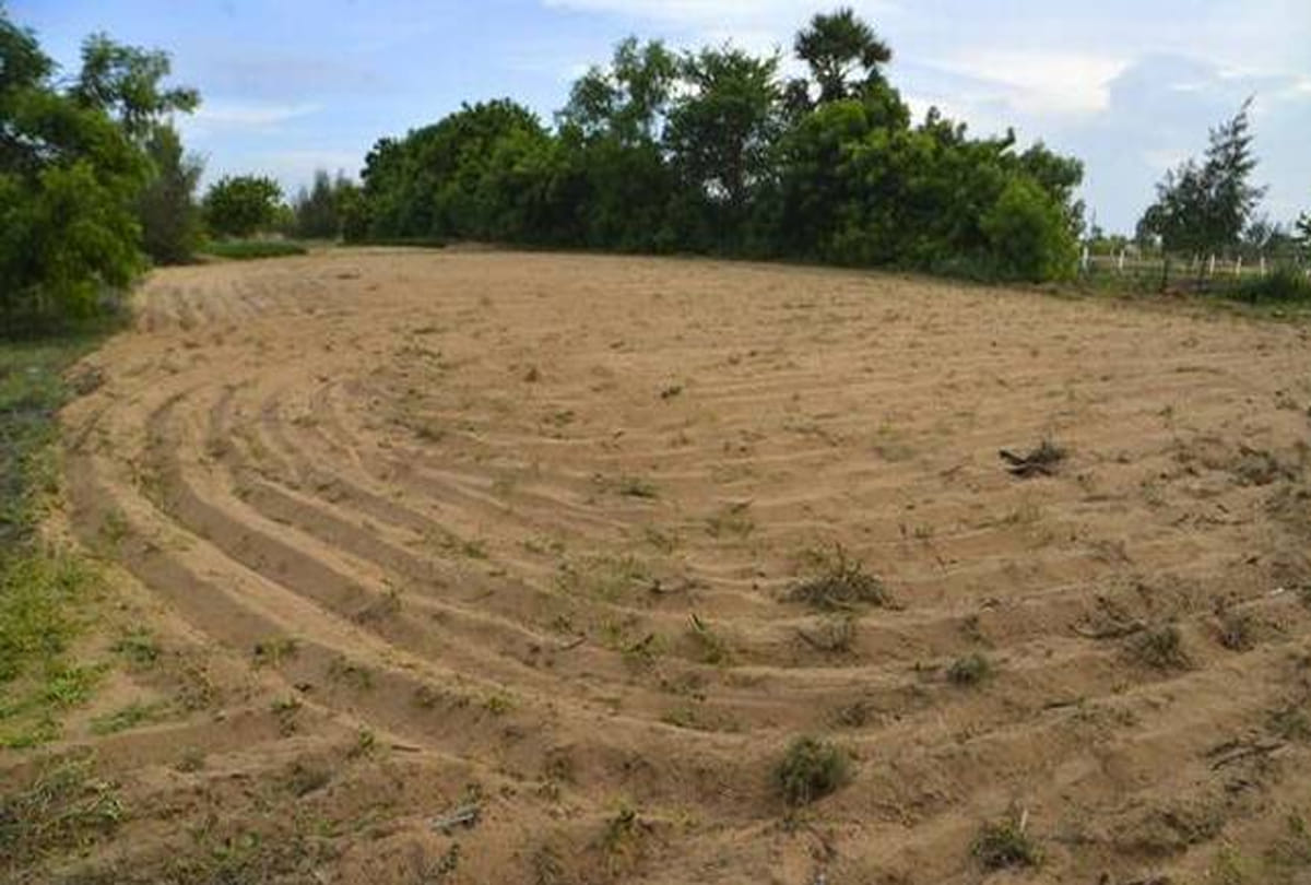 land given by government to bangladeshis