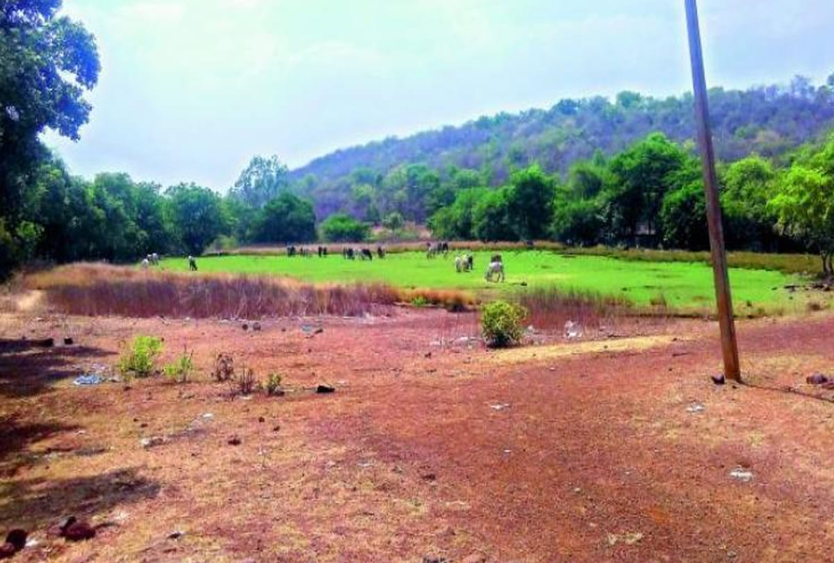 land given by government to bangladeshis