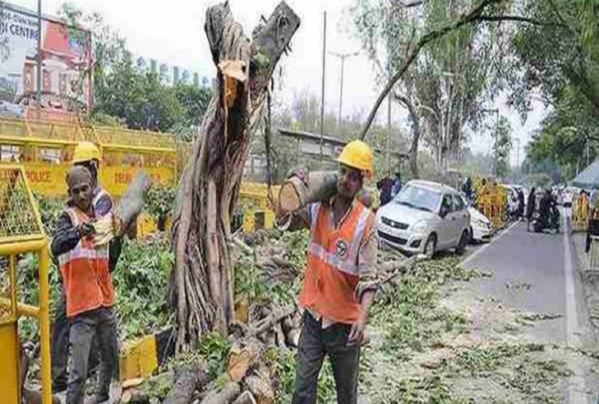 Tree Damage case: Forest officers sent notice to NBCC