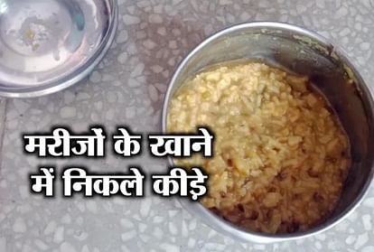Insects found in food of patients in shamli
