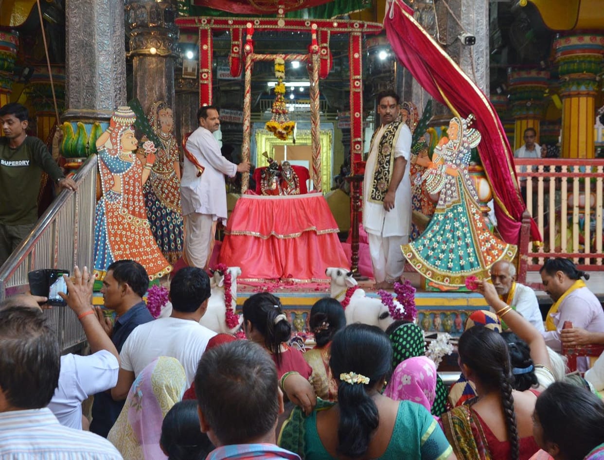 गुलाबी मखमल के हिंडोले में विराजे  राजाधिराज