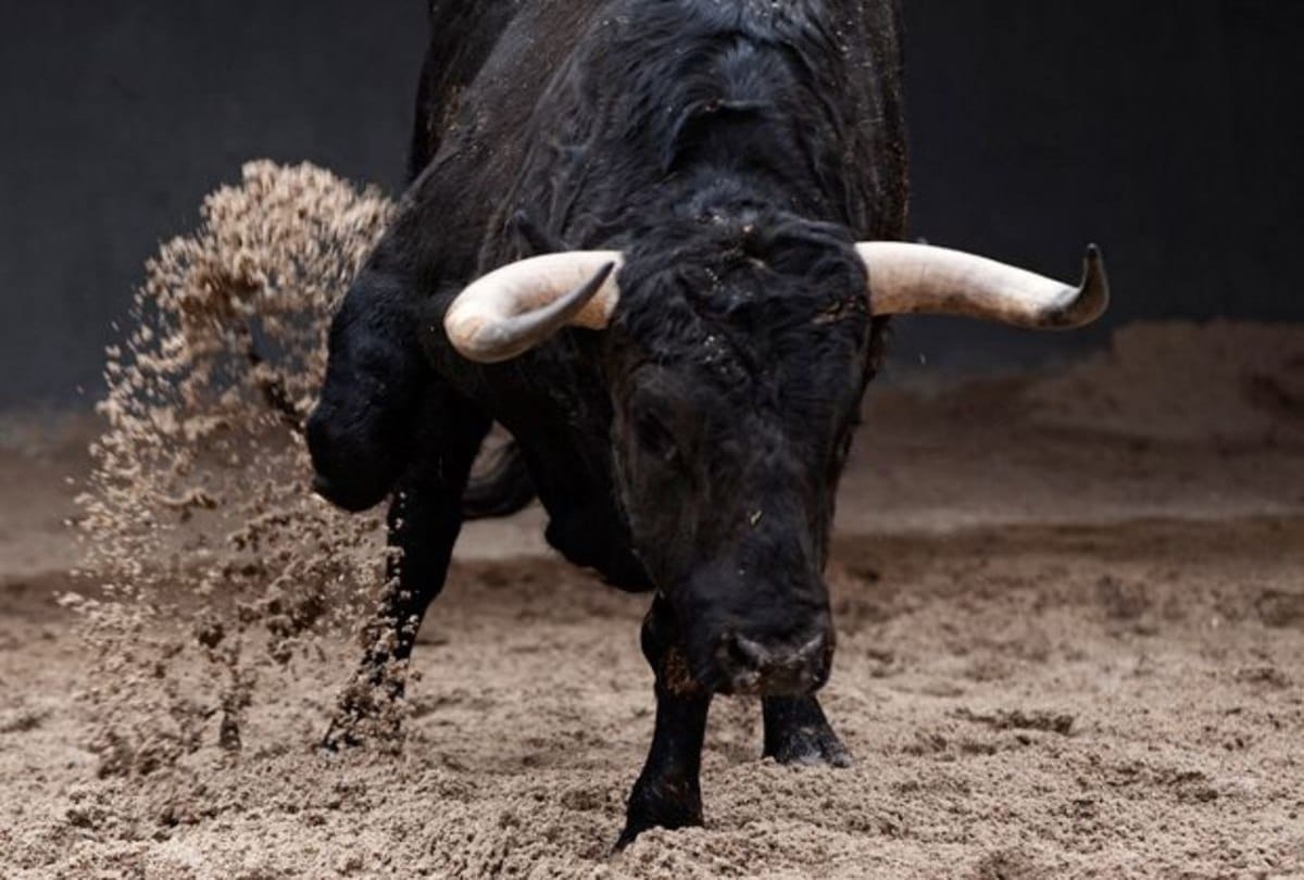 video being viral of the bull attack on a man 