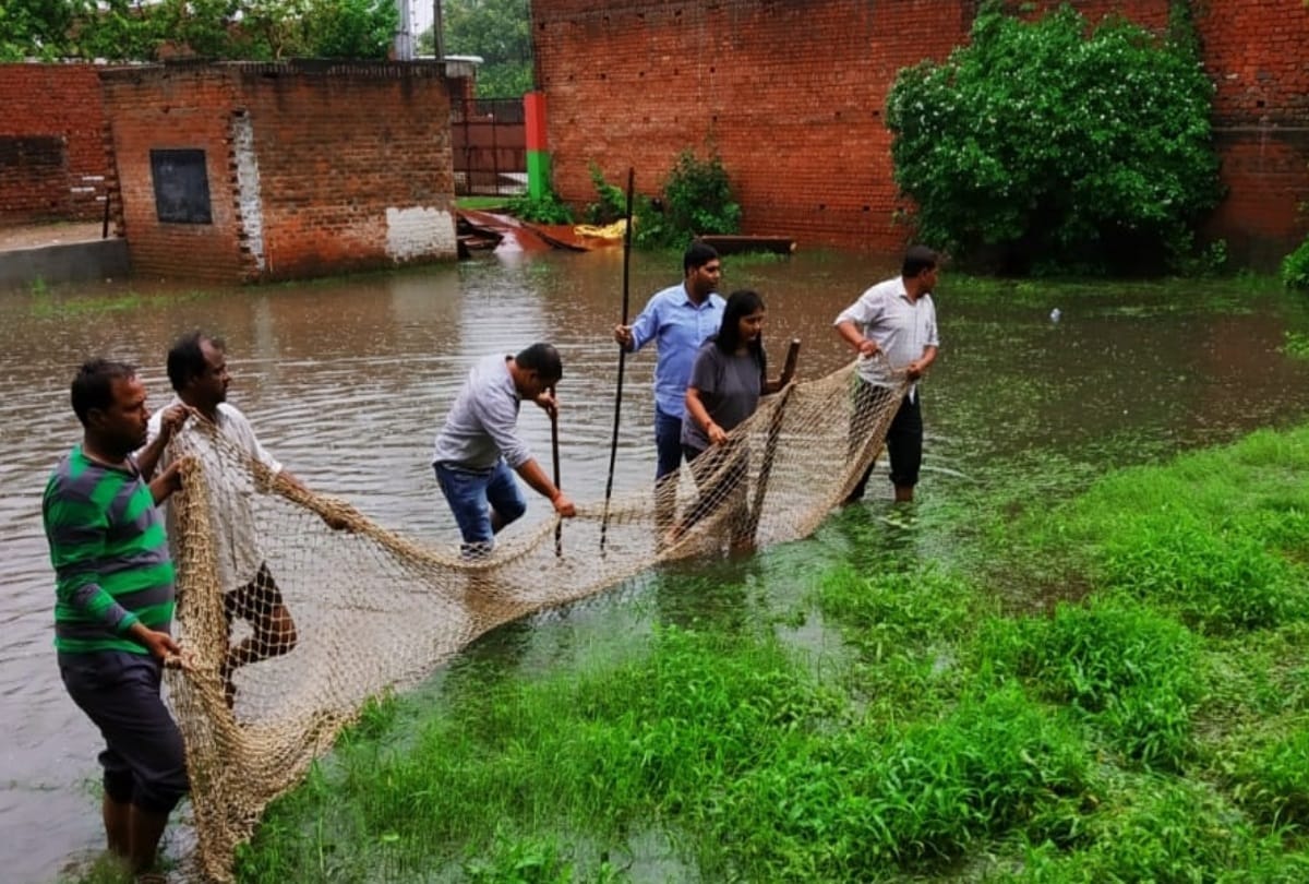 seven feet long crocodile caught in lucknow