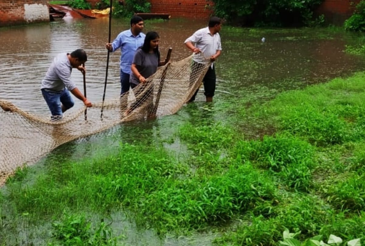 seven feet long crocodile caught in lucknow