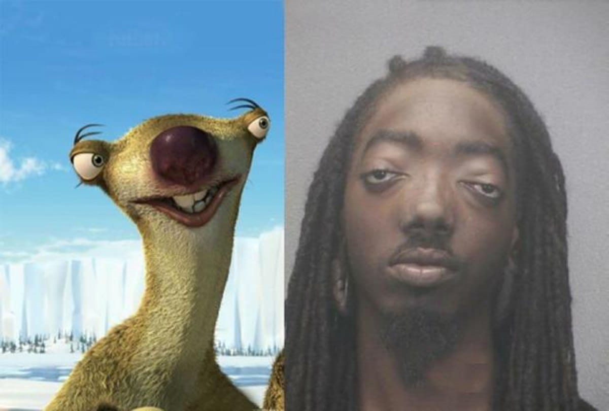 Ten Accidental pictures Its Hard to Believe Are Real