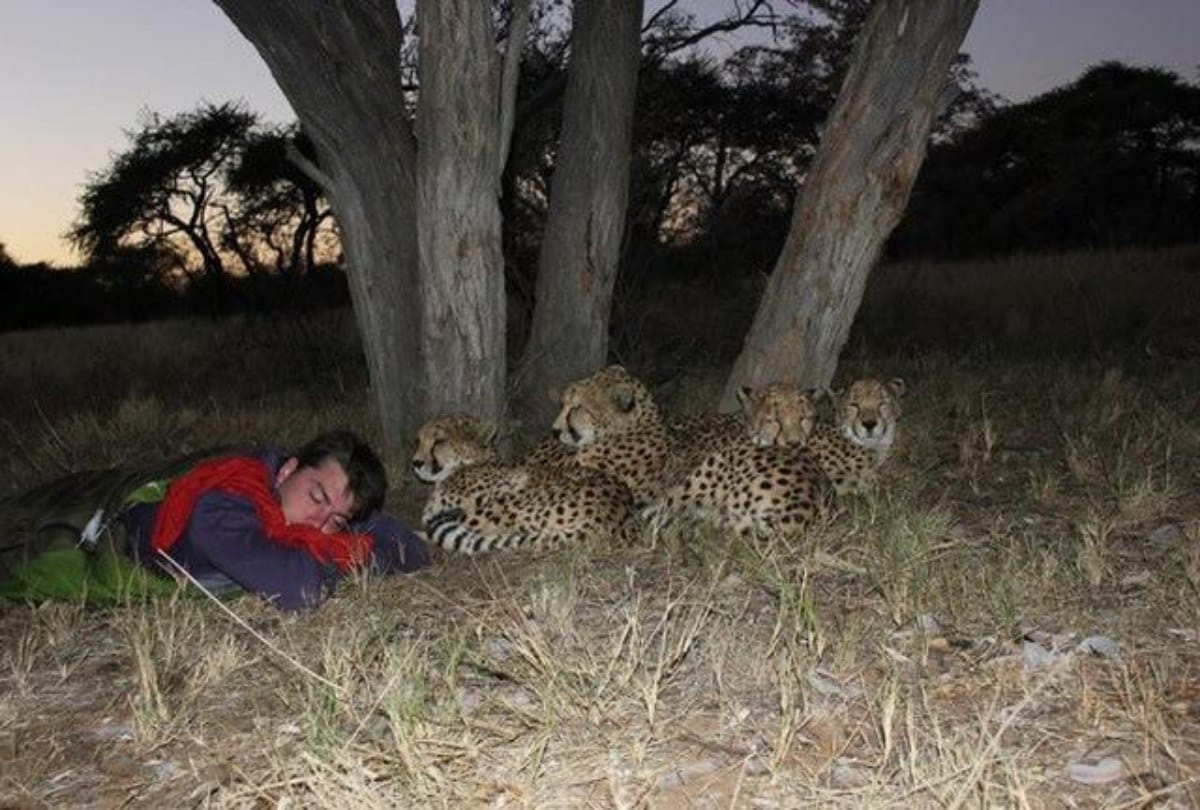 Speechless fifteen Weird Moments Were Caught on Camera
