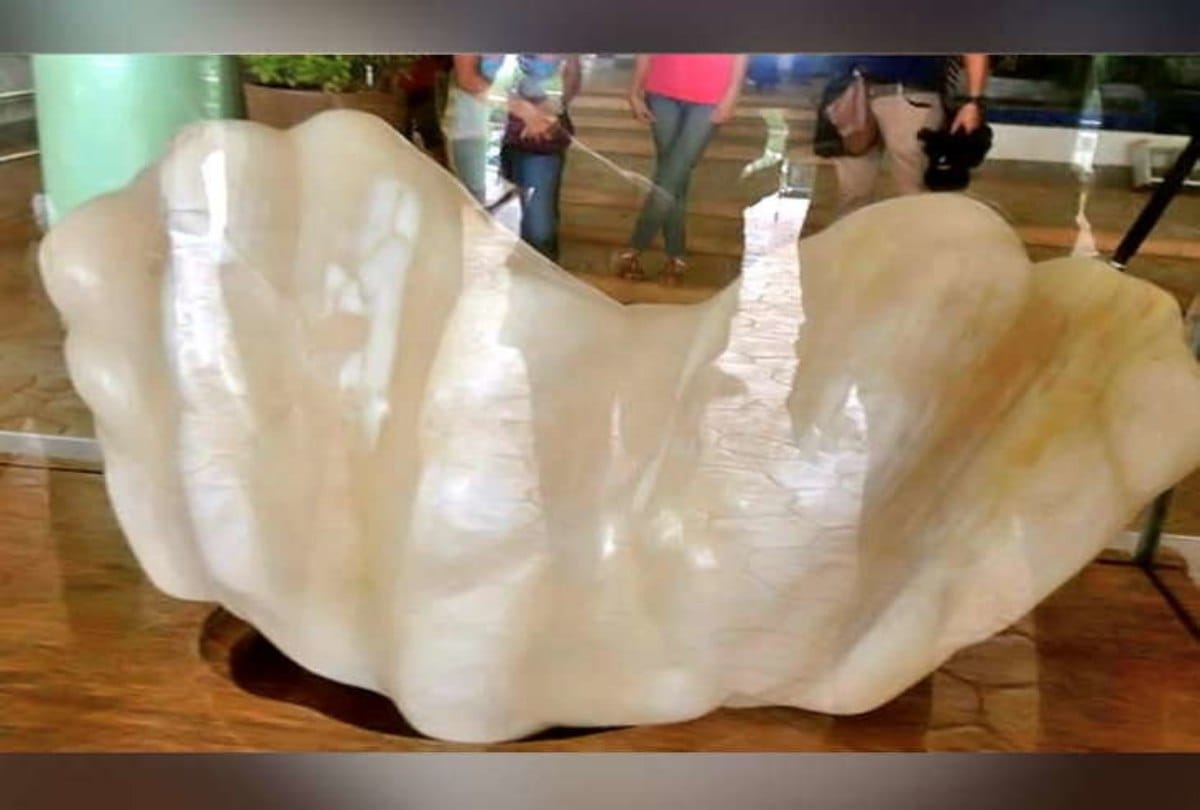 Fishermen find precious stone after ten years he became Millionaire in Philippines