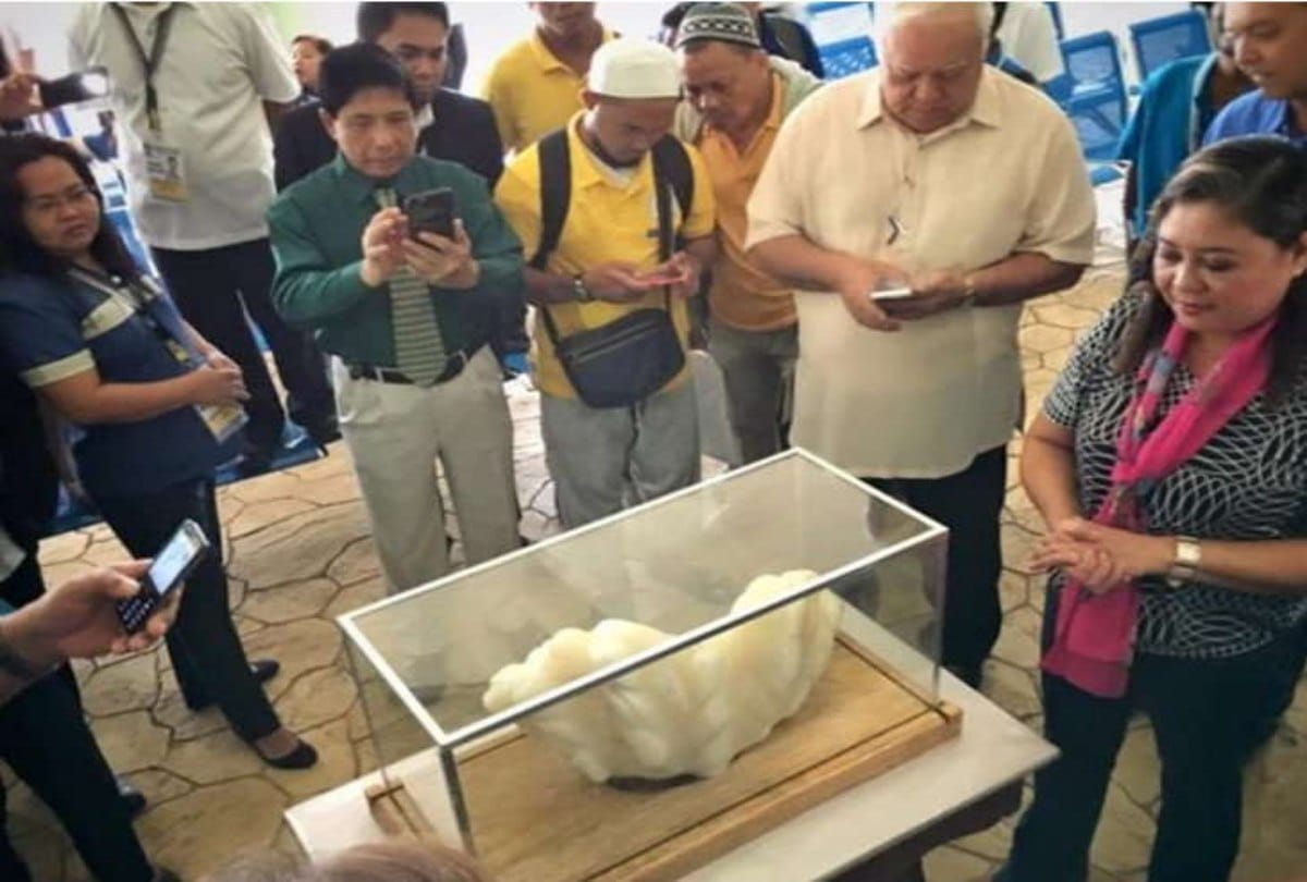 Fishermen find precious stone after ten years he became Millionaire in Philippines