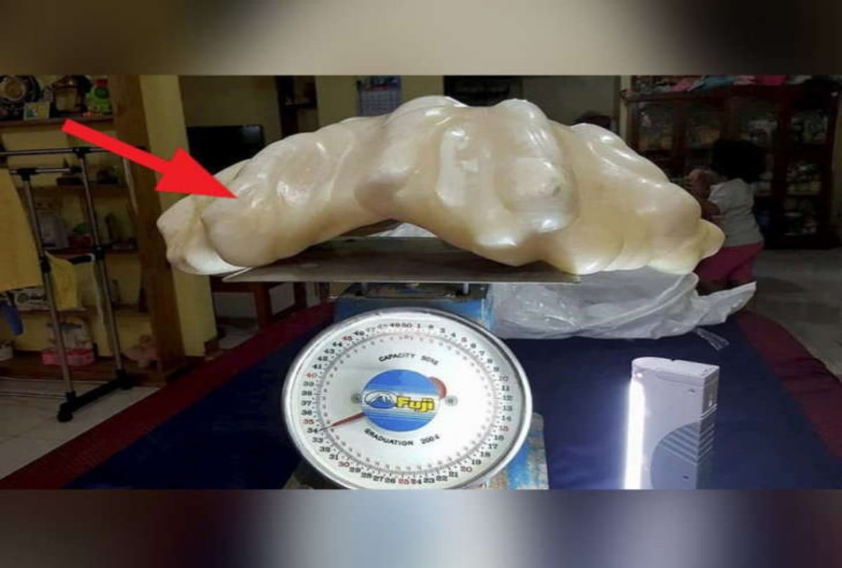 Fishermen find precious stone after ten years he became Millionaire in Philippines