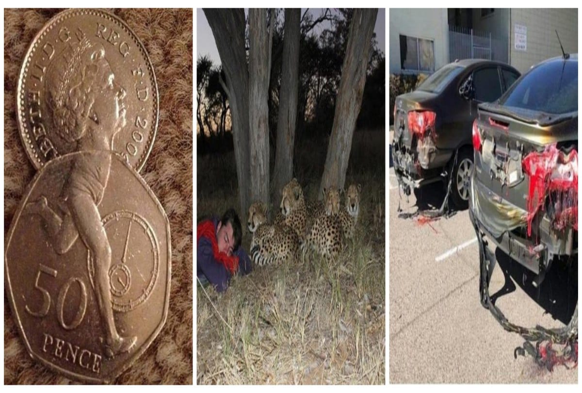 Speechless fifteen Weird Moments Were Caught on Camera