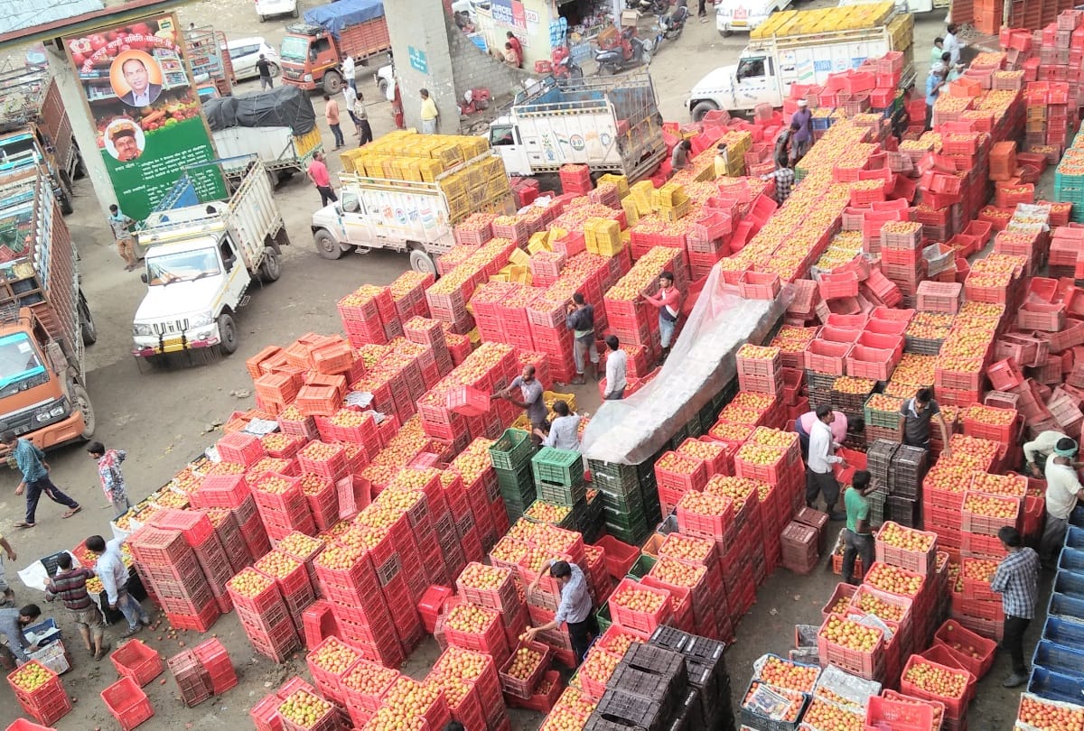 Heem Sohna Tomato demand drop in delhi