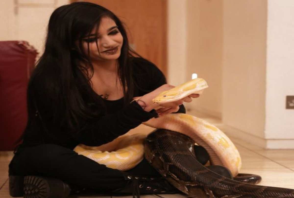 This Girl has attractive collection of snakes and python in London flat