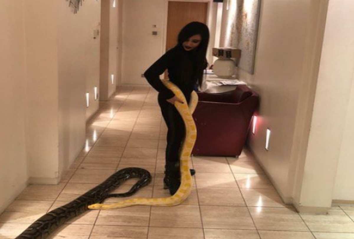 This Girl has attractive collection of snakes and python in London flat