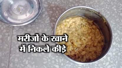 Insects found in food of patients in shamli