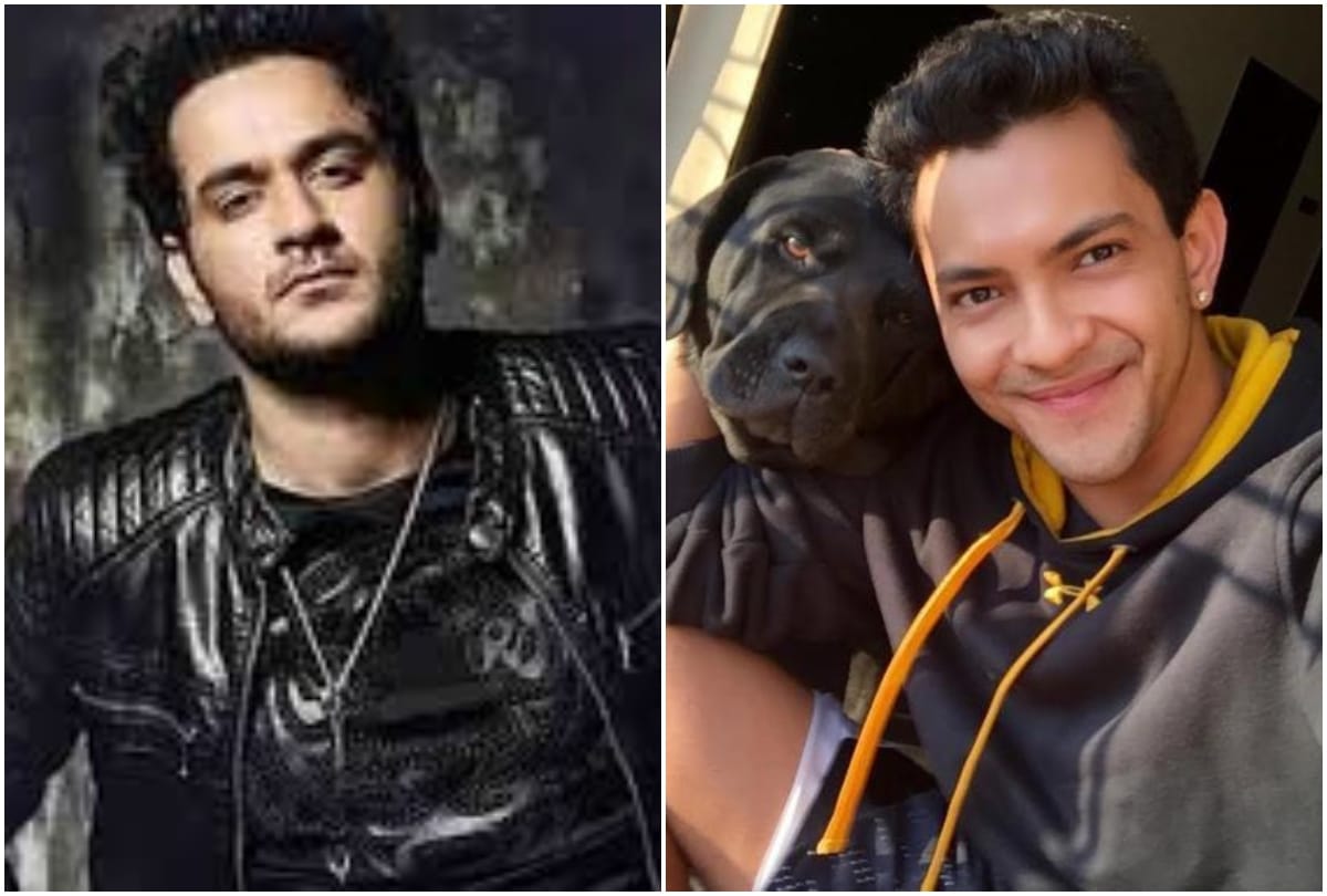 Vikas Gupta gets python bite and Aditya Narayan eyes injured during Khatron Ke Khiladi season 9 set